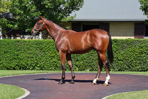 Lot 21: Pierro / Furline
