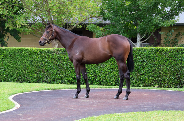 Lot 159: Hellbent / Maevemoo