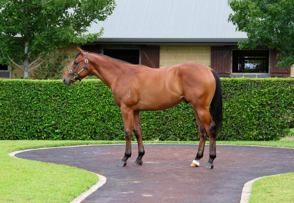 Lot 385: Ole Kirk / Sarma