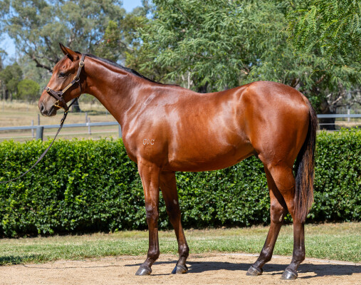 Lot 293: Spirit of Boom / Pearls for Me