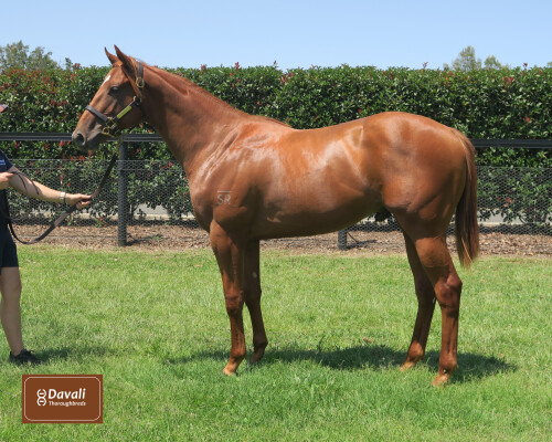 Lot 579: Written By / Wild at Heart