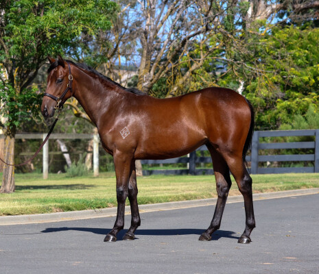 Lot 723: Farnan / Coleraine