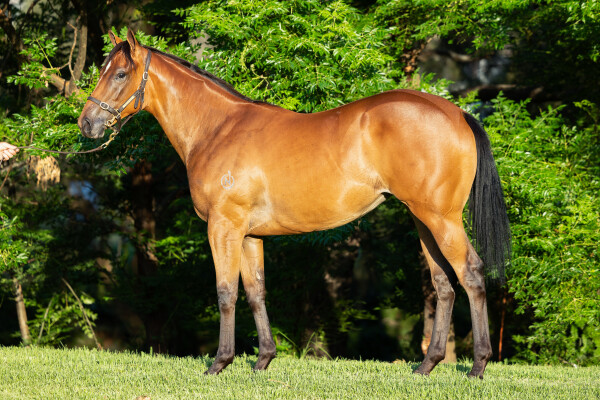 Lot 472: Graff / Sublime Miss