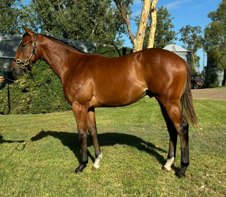 Lot 269: Tassort / One More Kiss