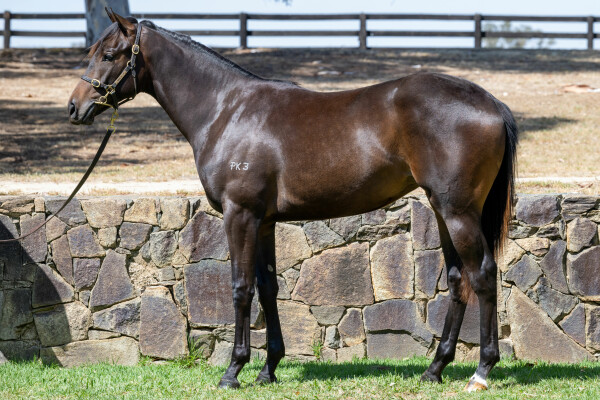 Lot 207: Artorius / Mistress of Doom
