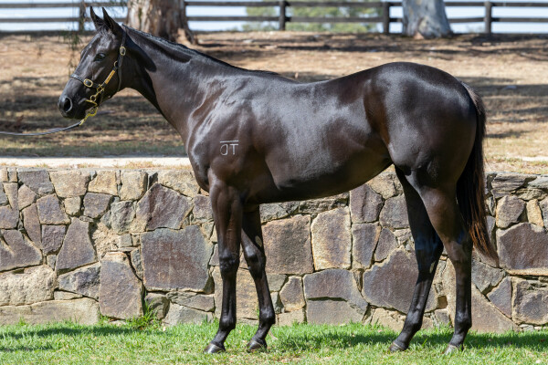 Lot 615: Capitalist / Adventura