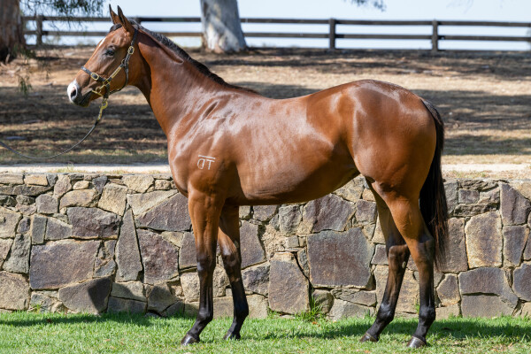 Lot 775: Daumier / Dwarf