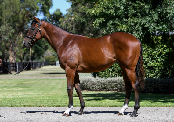 Lot 166: Home Affairs / Marchena