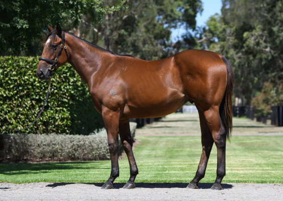 Lot 289: Home Affairs / Parure