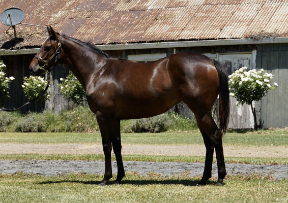 Lot 695: Spirit of Boom / Can't Find Snippy