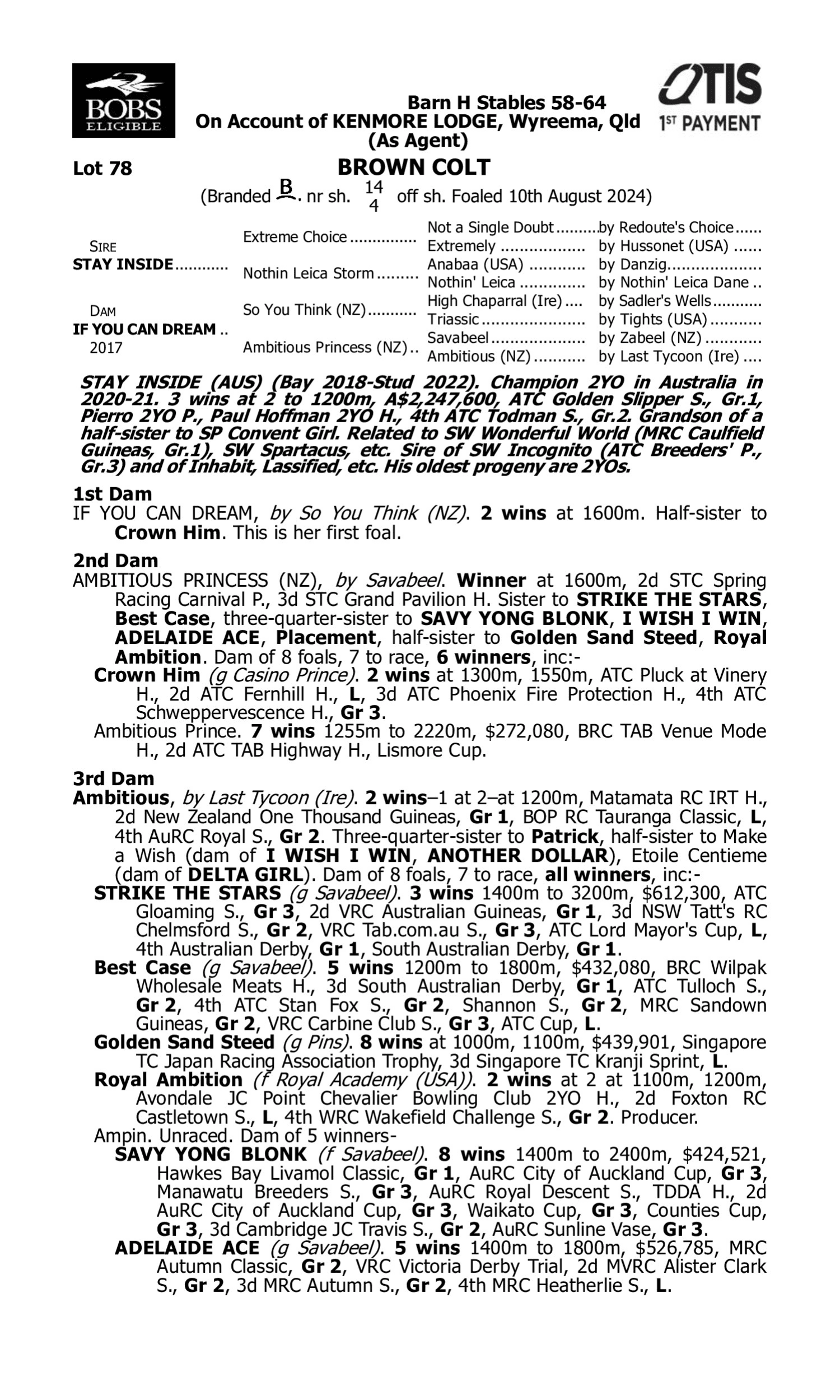 Pedigree for Lot 78 Stay Inside - If You Can Dream