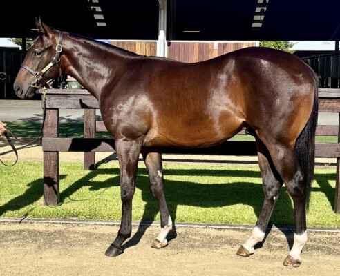 Lot 226: Spirit of Boom / My Girl Rocks