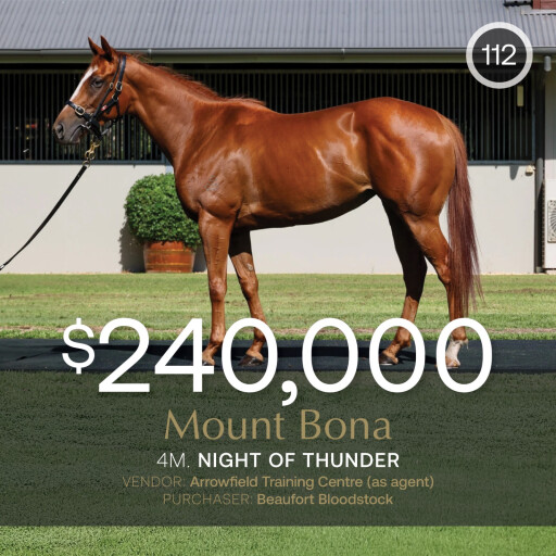 Mount Bona tops Feb (Early) Sale at $240,000