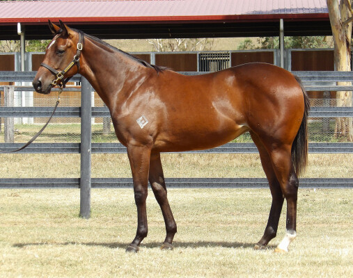 Lot 155: Daumier / Lycia