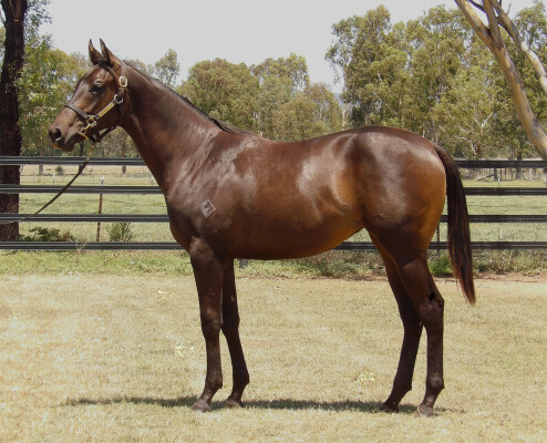 Lot 206: Artorius / Mistress Mace