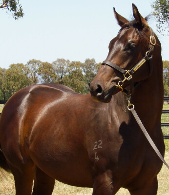 Lot 206: Artorius / Mistress Mace