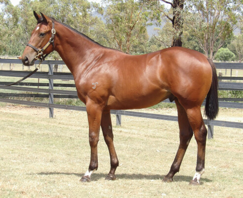 Lot 458: Hellbent / Spiranac