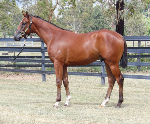 Lot 602: Hitotsu / Zhaojun