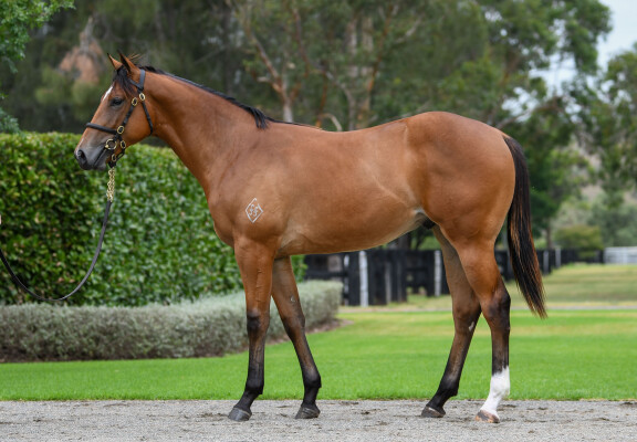 Lot 487: St Mark's Basilica (FR) / Sweet Mary