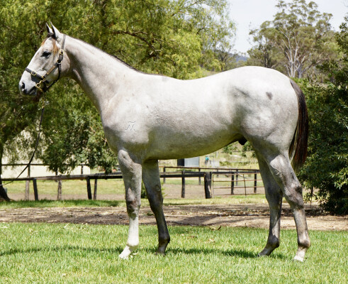 Lot 750: All Too Hard / Deep Sorrow