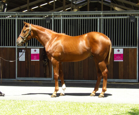 Lot 676: Home Affairs / Blue Grass Music (USA)