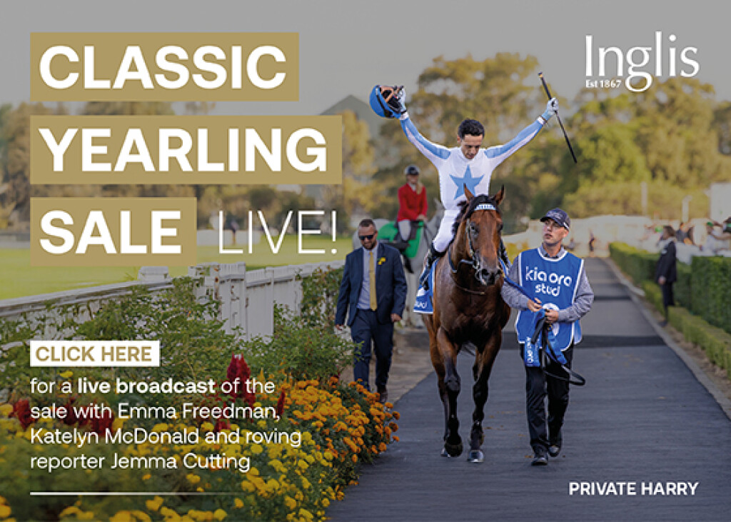 2026 Classic Yearling Sale