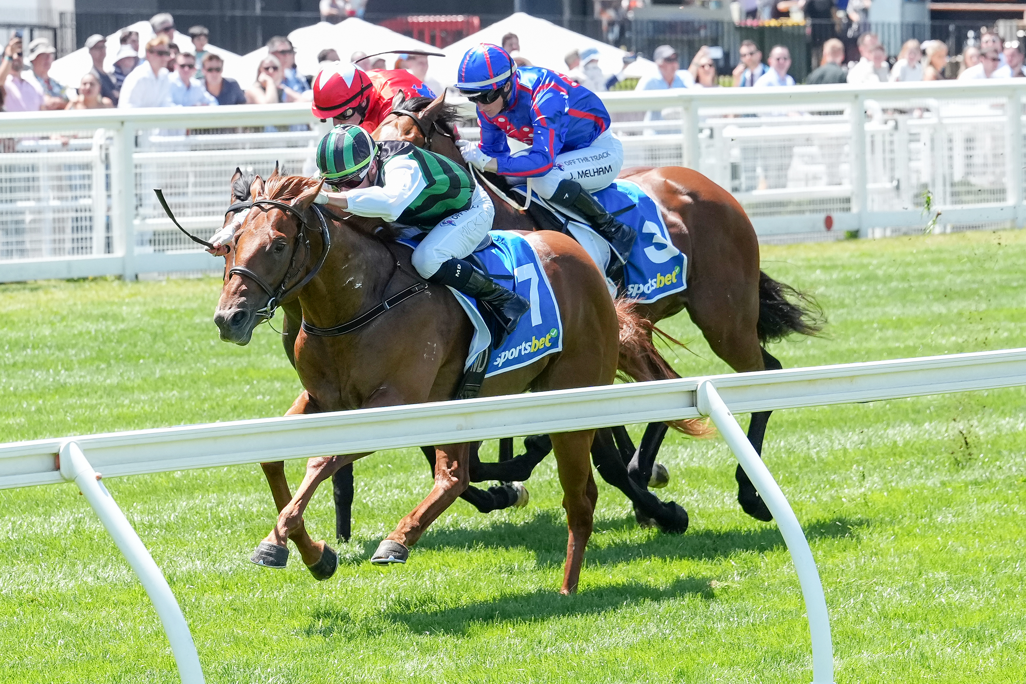 It's a 2YO domination for Inglis graduates Australia-wide