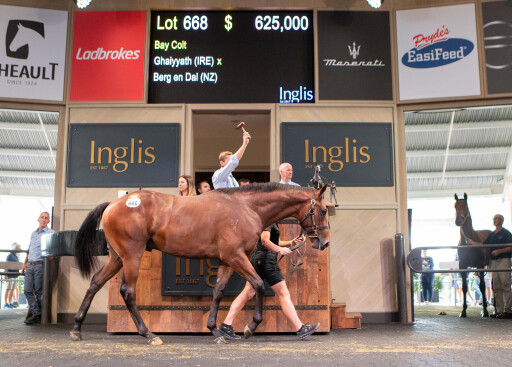 Classic concludes on a high with sale-topping $625,000 colt