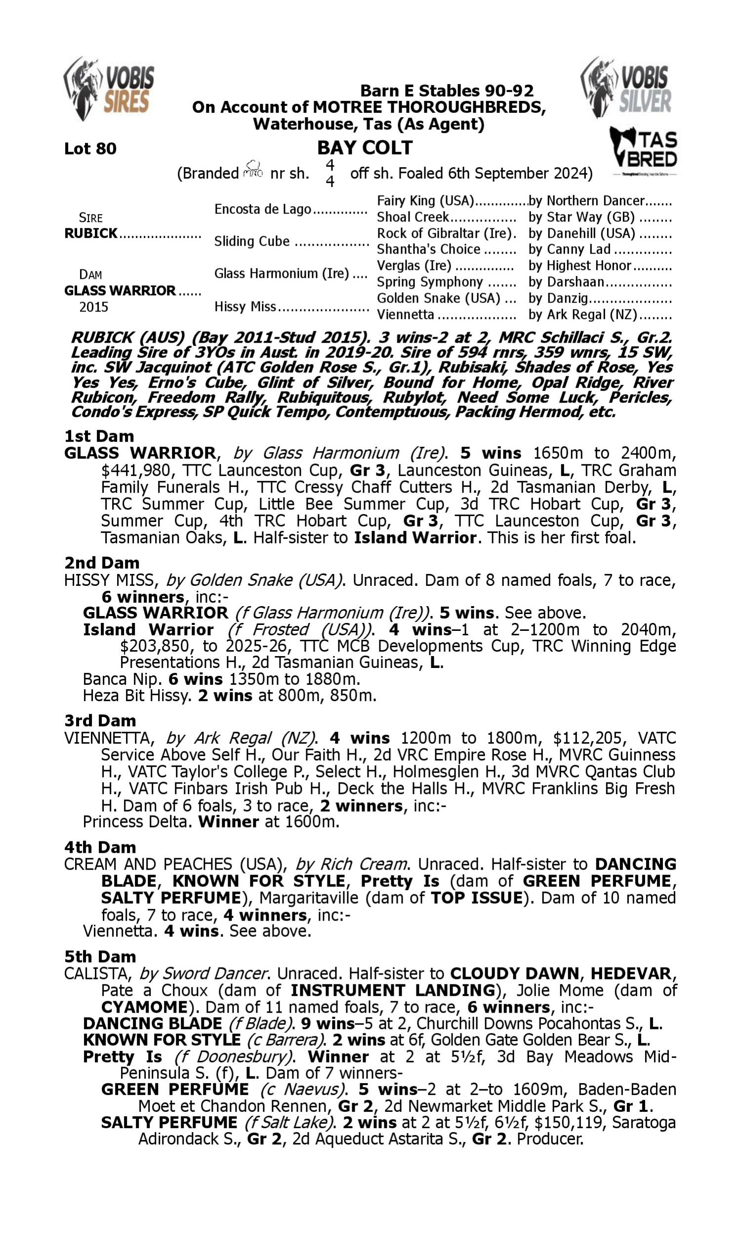 Pedigree for Lot 80 Rubick - Glass Warrior