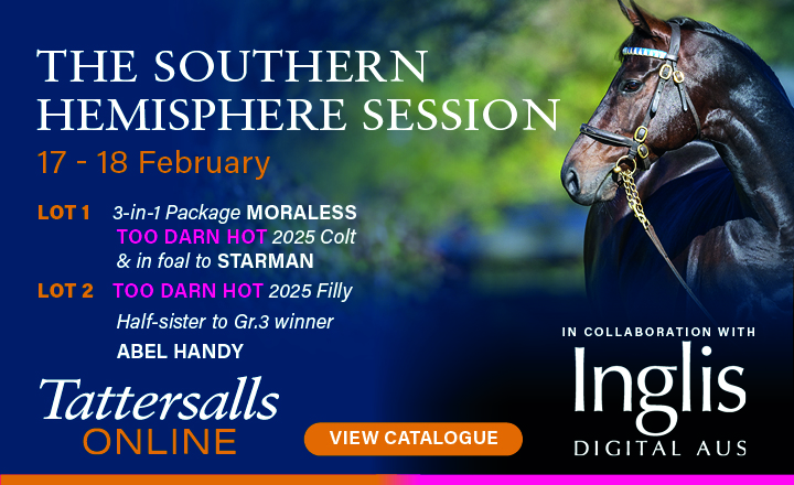 Tattersalls Feb Online Sale SH Collaboration
