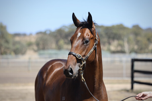 Lot 373: Rich Enuff / Streetcar Express