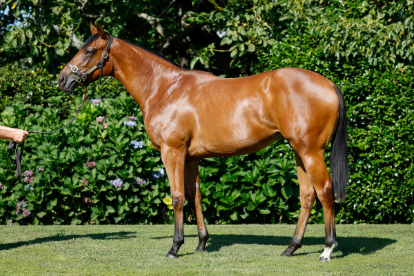 Lot 301: St Mark's Basilica (FR) / Rolling Cloud