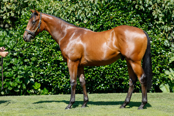 Lot 302: Written By / Ruby Flo