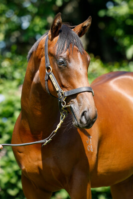 Lot 302: Written By / Ruby Flo