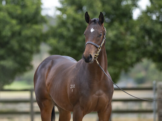 Lot 712: Pierata / Single Note