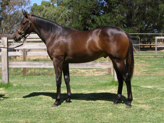 Lot 79: Shamus Award / Give Me Hope