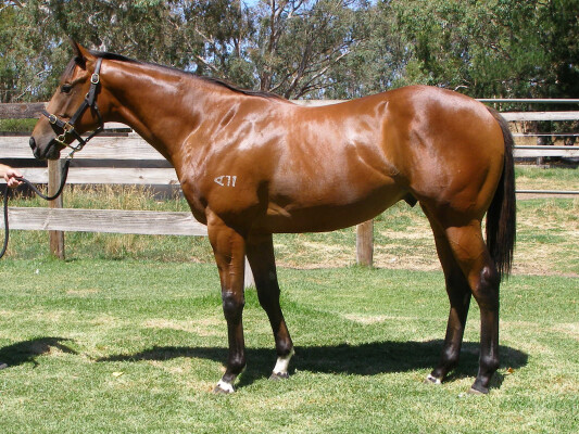 Lot 300: Written By / Rolene