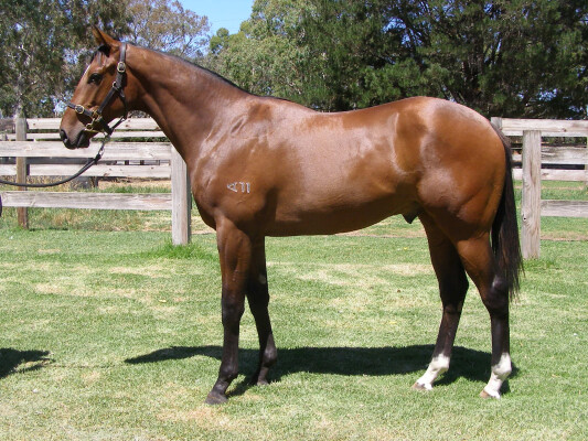 Lot 358: All Too Hard / Spanish Miracle