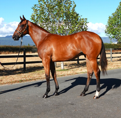 Lot 252: Farnan / Parting Wish