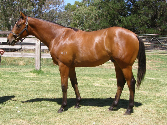 Lot 434: Hanseatic / Wanaasa