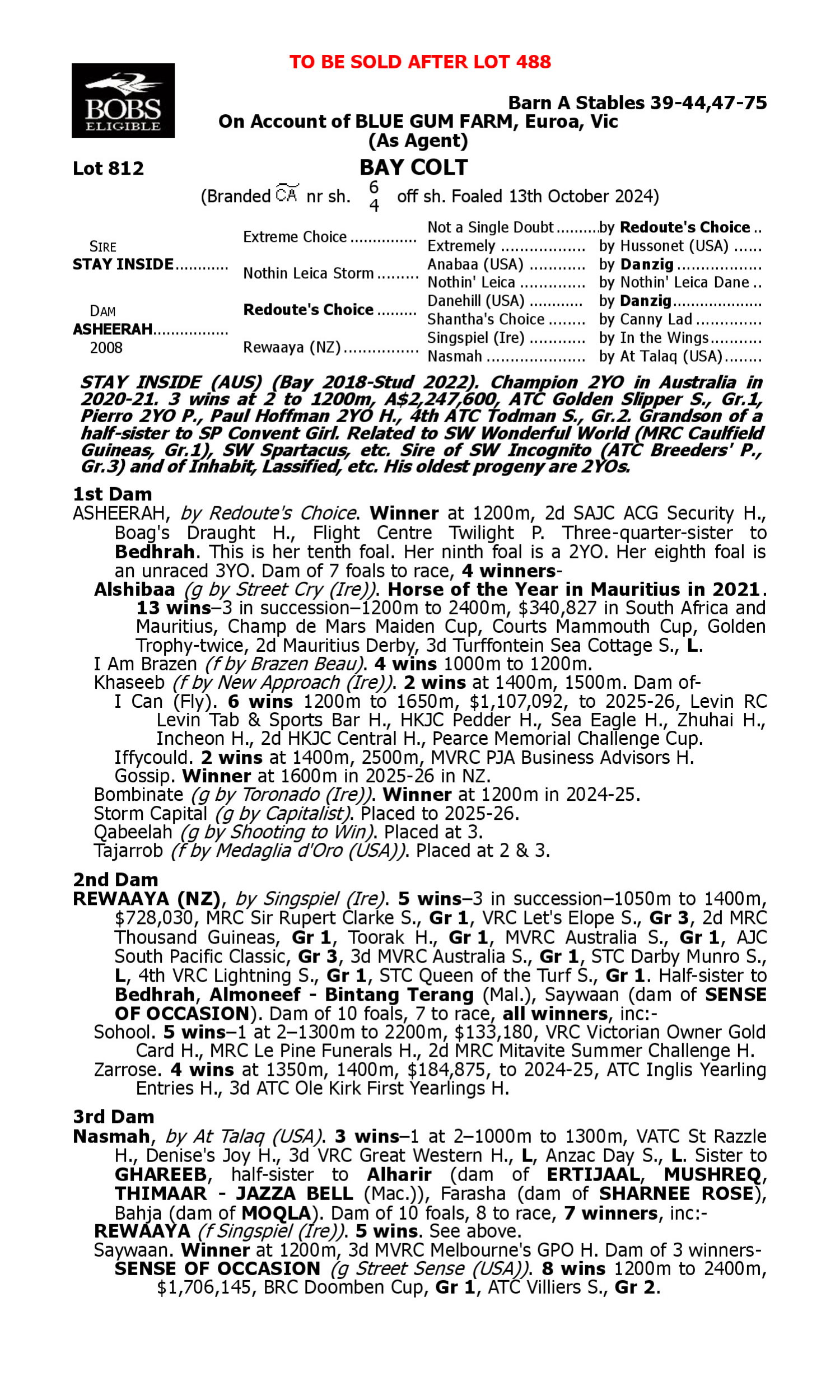 Pedigree for Lot 812 Stay Inside - Asheerah