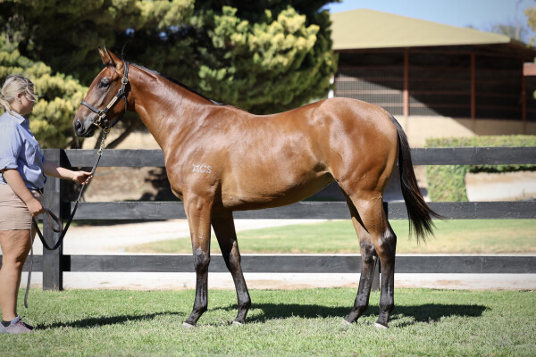 Lot 405: Hitotsu / Tiki Bar