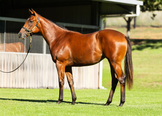 Lot 391: Stay Inside / Tahitian Dancer