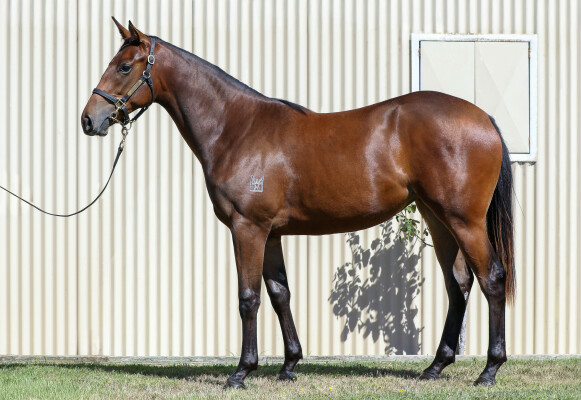 Lot 119: Artorius / Impulse Control