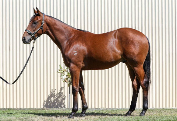 Lot 338: Hitotsu / Sidewalk Sinner