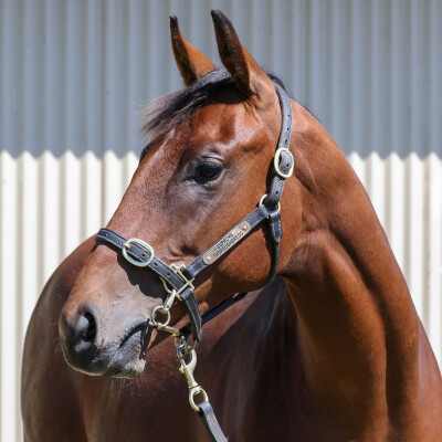 Lot 338: Hitotsu / Sidewalk Sinner