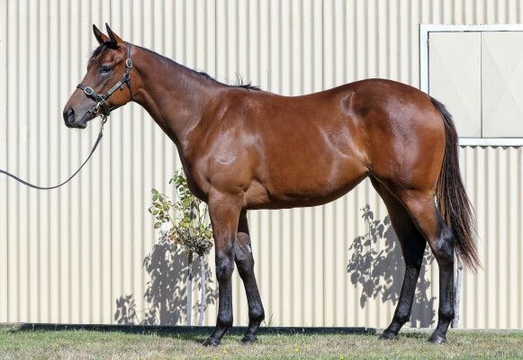 Lot 401: Too Darn Hot (GB) / Think Diamonds