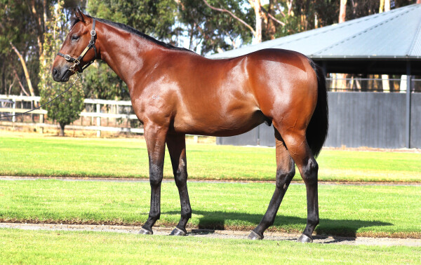 Lot 169: Home Affairs / Limerock