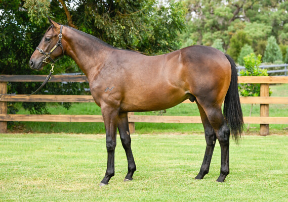 Lot 278: I Am Invincible / Prospect Park