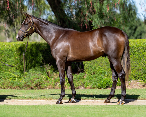 Lot 196: Ole Kirk / Mhaille